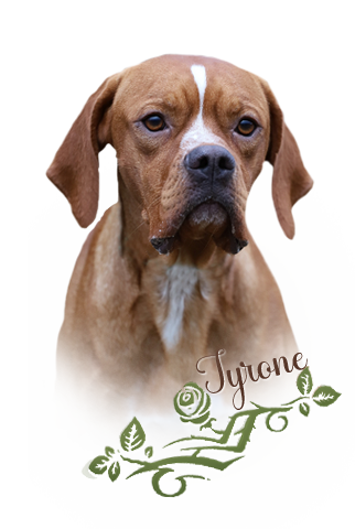 iko-tyrone